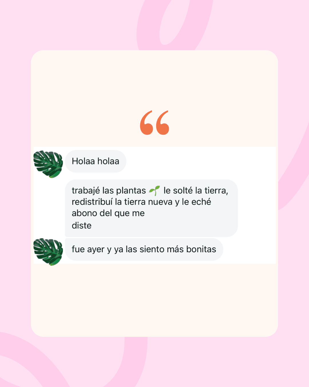 Testimonio 3
